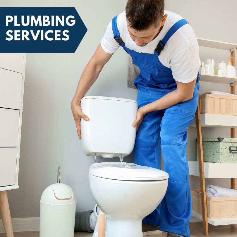 Plumbing Company in Denham Springs, LA